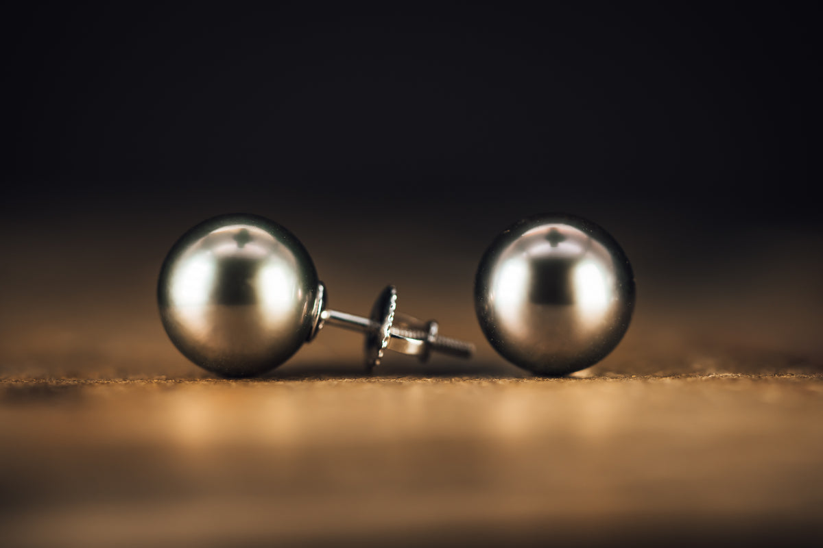 14k White Gold South Sea Pearl Stud Earrings