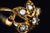14k Yellow Gold Cluster Diamond Ring