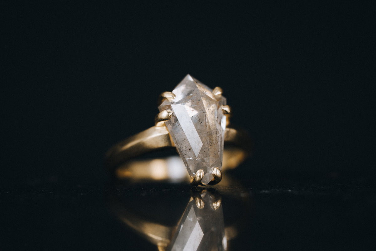 18k Yellow Gold Salt and Pepper Diamond Ring