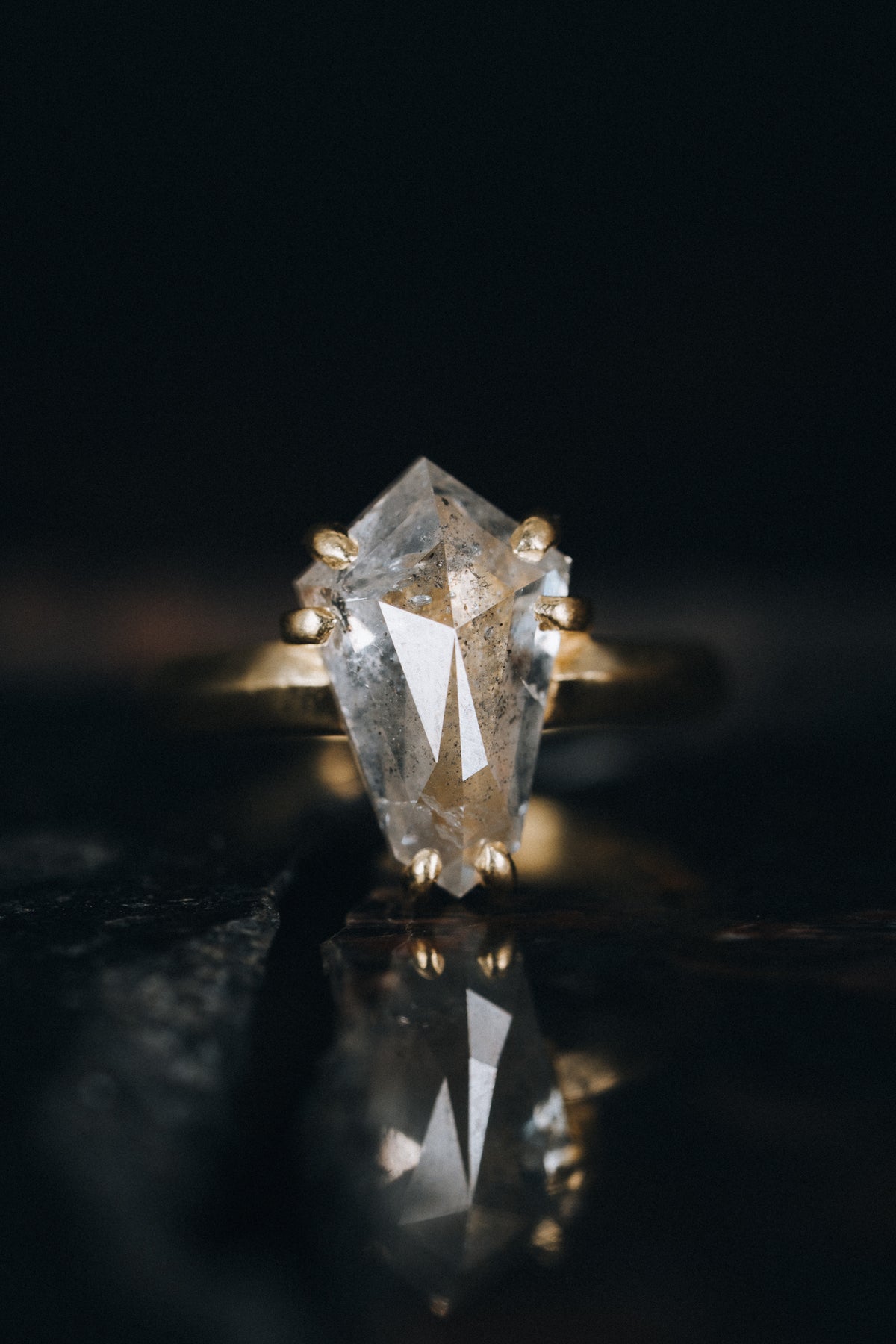 18k Yellow Gold Salt and Pepper Diamond Ring