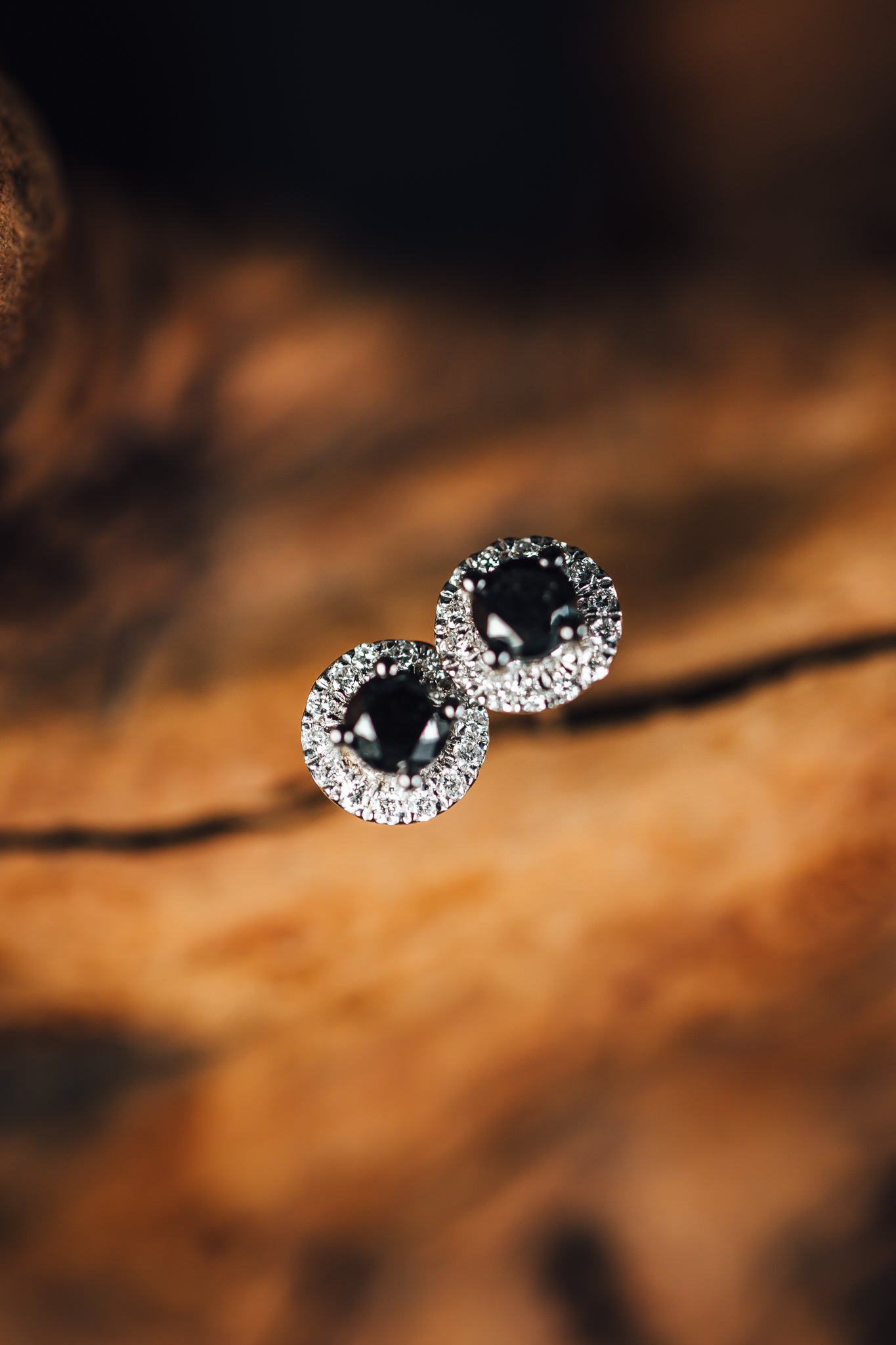 14k White Gold Black and White Diamond Earrings