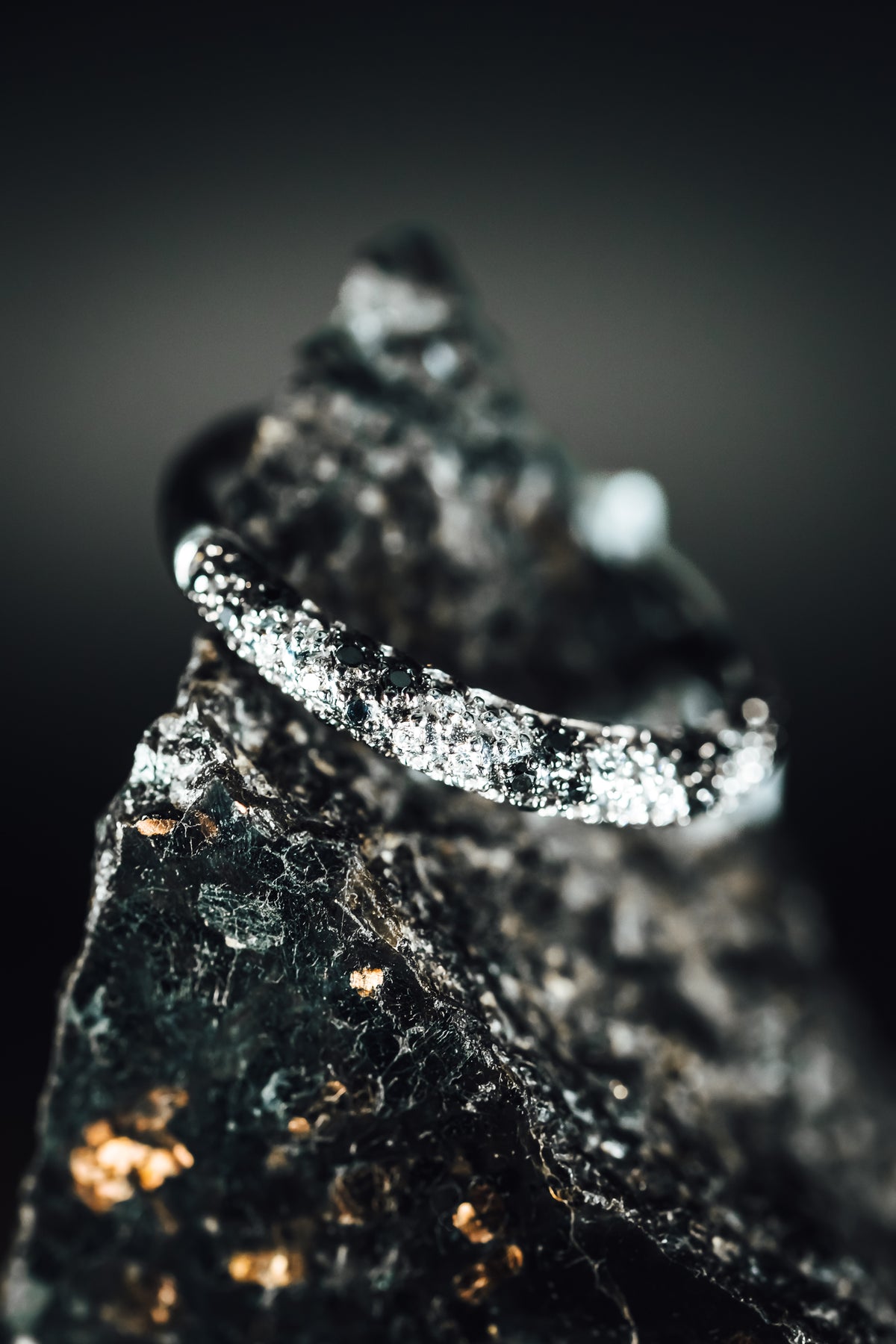 14k White Gold Black and White Diamond Ring