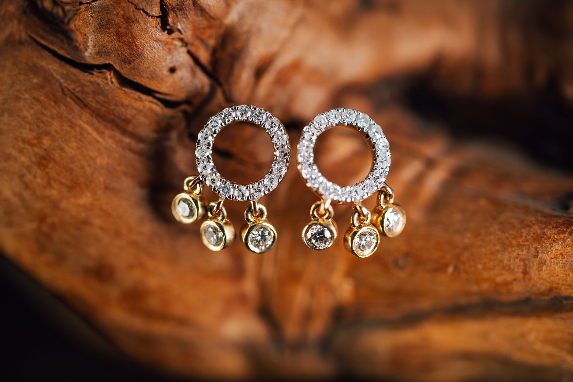 14k Yellow Gold Circle and Diamond Drop Earrings