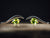 Sterling Silver and Peridot Earrings