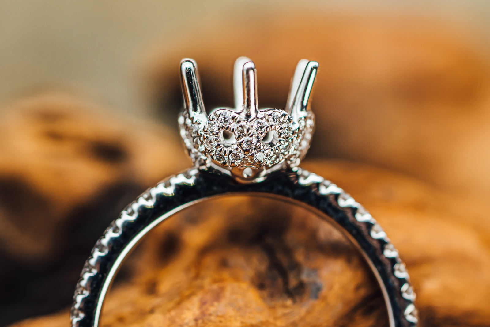 14k White Gold Mounting