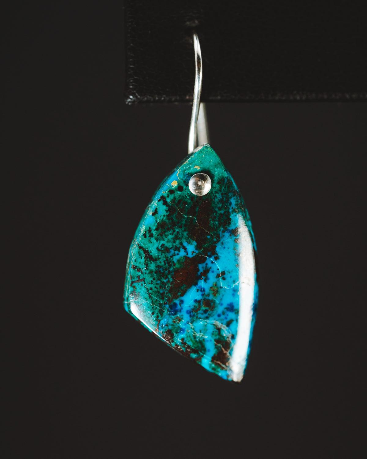 Sterling Silver Parrot Wing Turquoise Earrings