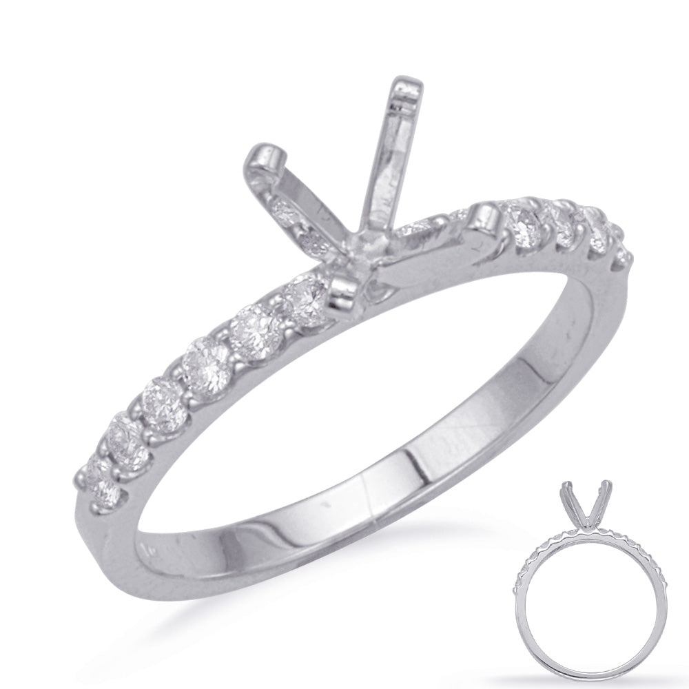 14k White Gold Mounting