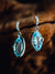 14k White Gold Aquamarine and Diamond Earrings