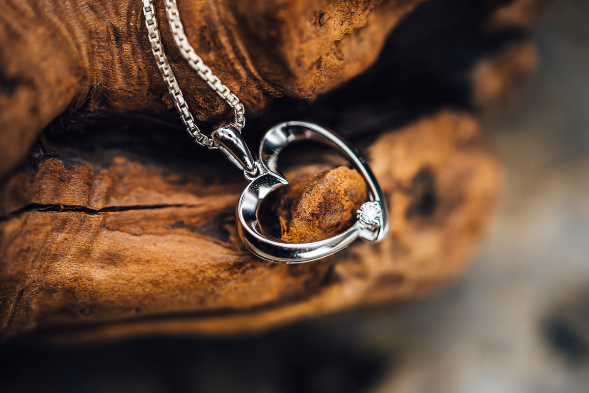 14k White Gold Heart and Diamond Pendant